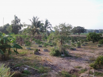 Plot of land Ceinat - Hankha Hankha