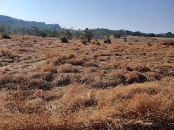Plot of land Ratnagiri Ratnagiri