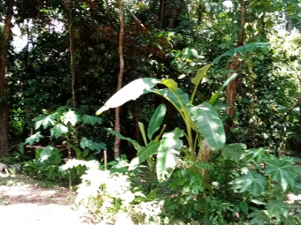 Plot of land Puerto Viejo de Talamanca Puerto Viejo De Talamanca