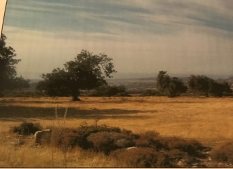 Plot of land Prastio Prastio