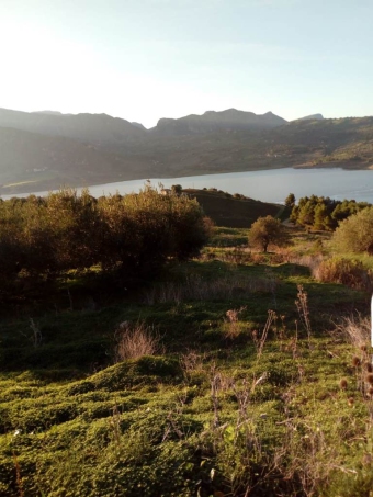 SH 692 Plot of land Caccamo Caccamo