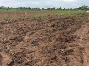 Plot of land Accra Accra