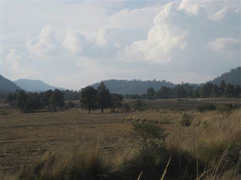 Farm Tres Marias Tres Marias