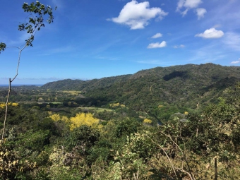 Plot of land Nosara Nosara