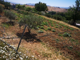 Plot of land Malaga Malaga