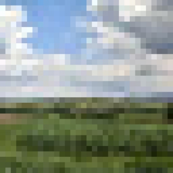 Plot of land Calarasi Calarasi
