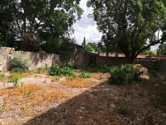 Plot of land Merida Merida