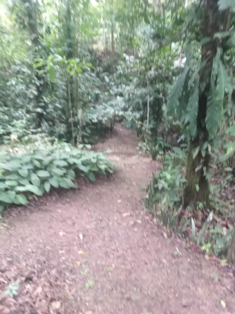 Plot of land punta uva de puerto viejo de limon Punta Uva De Puerto Viejo De Limon