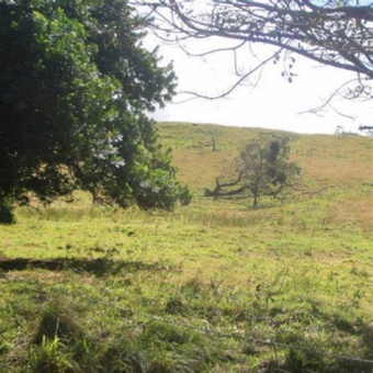 Plot of land Tilarán Tilar�n