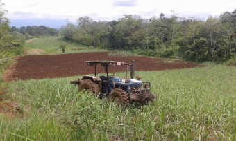 Plot of land San Carlos San Carlos