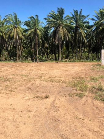 Plot of land Parrita Parrita