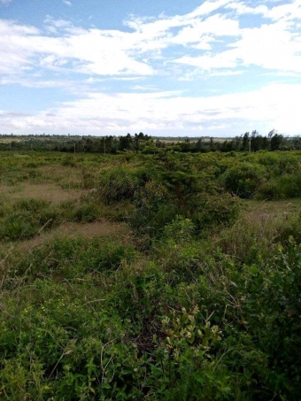 Plot of land Nanyuki Nanyuki