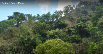 Farm Buenos Aires Buenos Aires