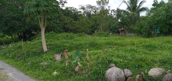 Plot of land Guapiles Guapiles
