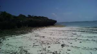 Plot of land Diani Beach Diani Beach