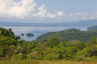 Plot of land Bahía drake Bah�a Drake