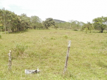 Plot of land San Carlos San Carlos