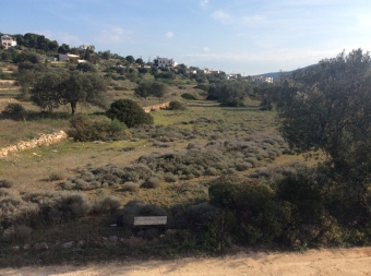 Plot of land Aegina Aegina