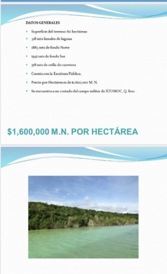 Plot of land Quintana Roo Quintana Roo