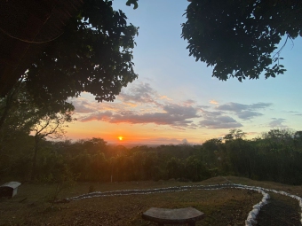 Farm Alajuela Alajuela