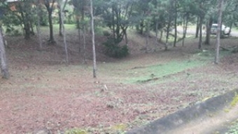 Plot of land Panama Panama