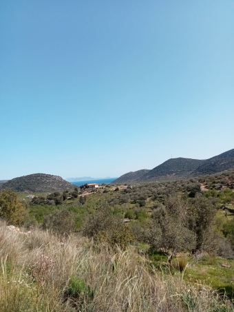 Plot of land Mugla Mugla