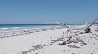 Business mozambique island Mozambique Island