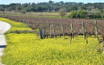 Farm Évora Évora