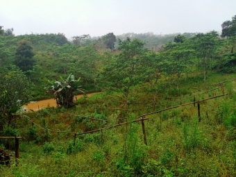 Farm Talakag Talakag
