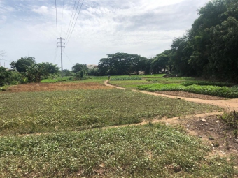 Plot of land Ashalaja Ashalaja