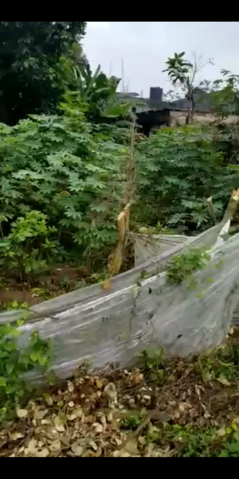 Plot of land Aba Aba