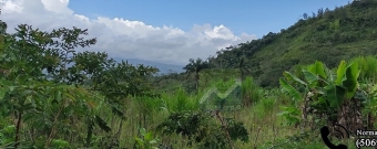 Plot of land Cachi Cachi