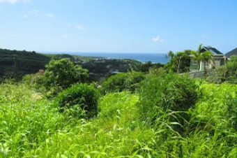 Plot of land St. Georges St. Georges