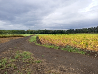 Plot of land Arusha City Arusha City