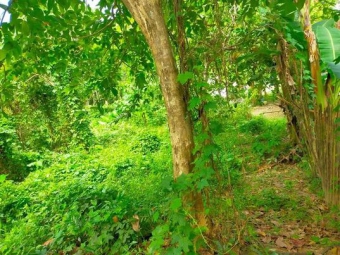 SOLD Plot of land El Nido El Nido, Palawan