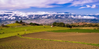 Plot of land Esparza Esparza