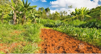 Plot of land Nakuru Nakuru