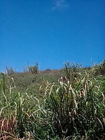 Plot of land Bellevue Saint Elizabeth Bellevue Saint Elizabeth
