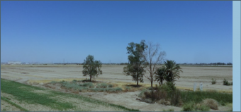 Plot of land Mexicali Mexicali