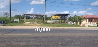 Plot of land Belize City Belize City