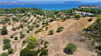 Plot of land Πήλιο Ν.Μαγνησιας Π���� Ν.���������