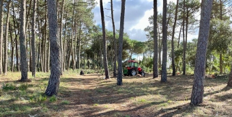 Plot of land Sintra Sintra