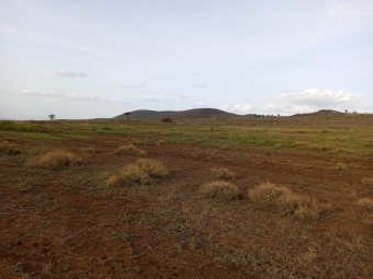 Farm Kilimanjaro Kilimanjaro