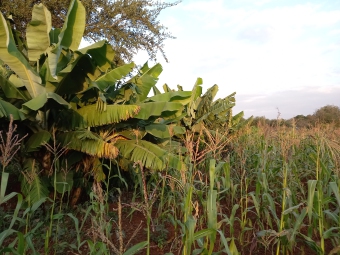 Plot of land Konza Konza