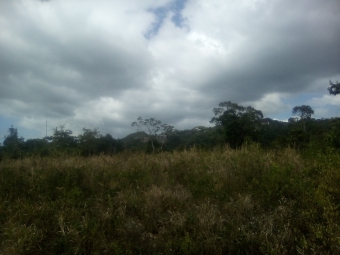 Plot of land Red Hills Red Hills