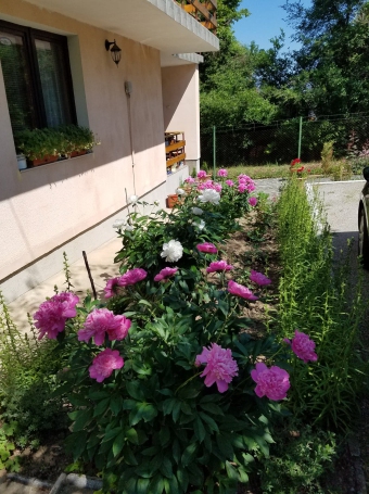 Villa Радомир Р������
