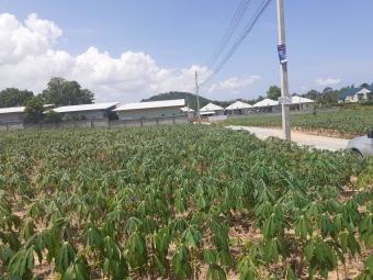 Plot of land Pattaya Pattaya