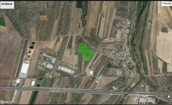 olive grove  Stilida fthiotidos Stilida Fthiotidos