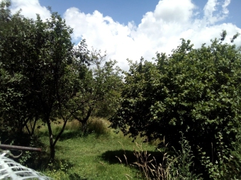 Plot of land Lupeni Lupeni