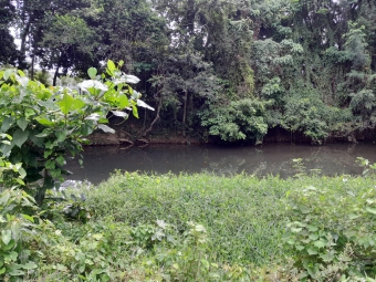 Plot of land Higuey Higuey